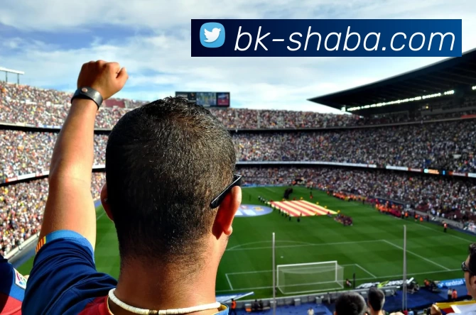 沙巴体育平台平台生态图